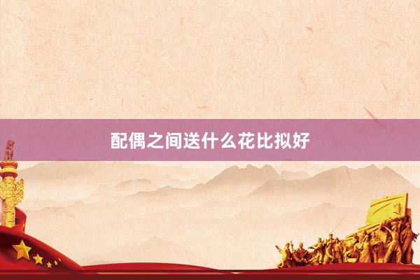 配偶之间送什么花比拟好